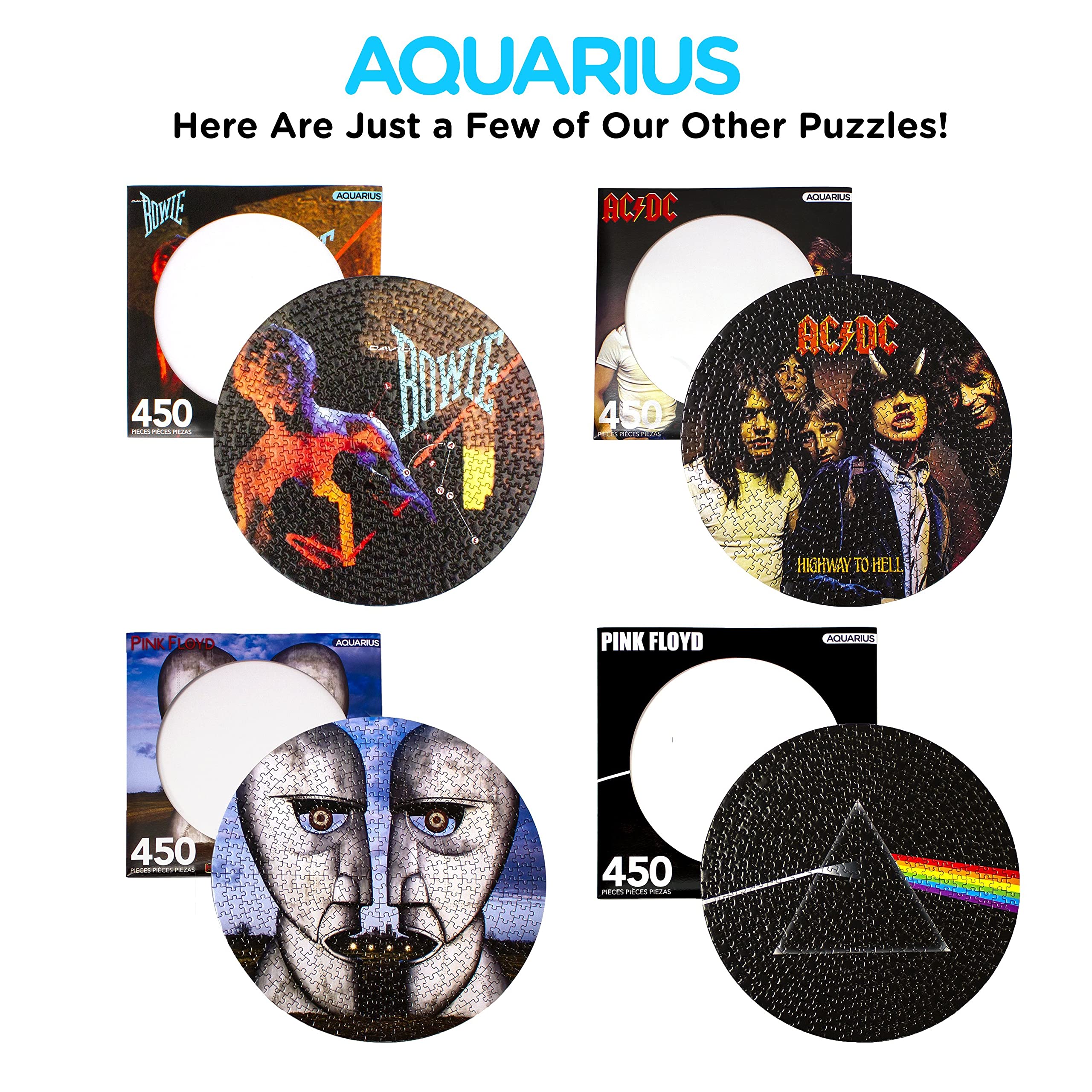 Amazon.com: Pink Floyd Dark Side Of The Moon 450 Pc Picture Disc